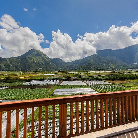 Teras Sawah Guest House Syariah سيمبالون لوانج المظهر الخارجي الصورة